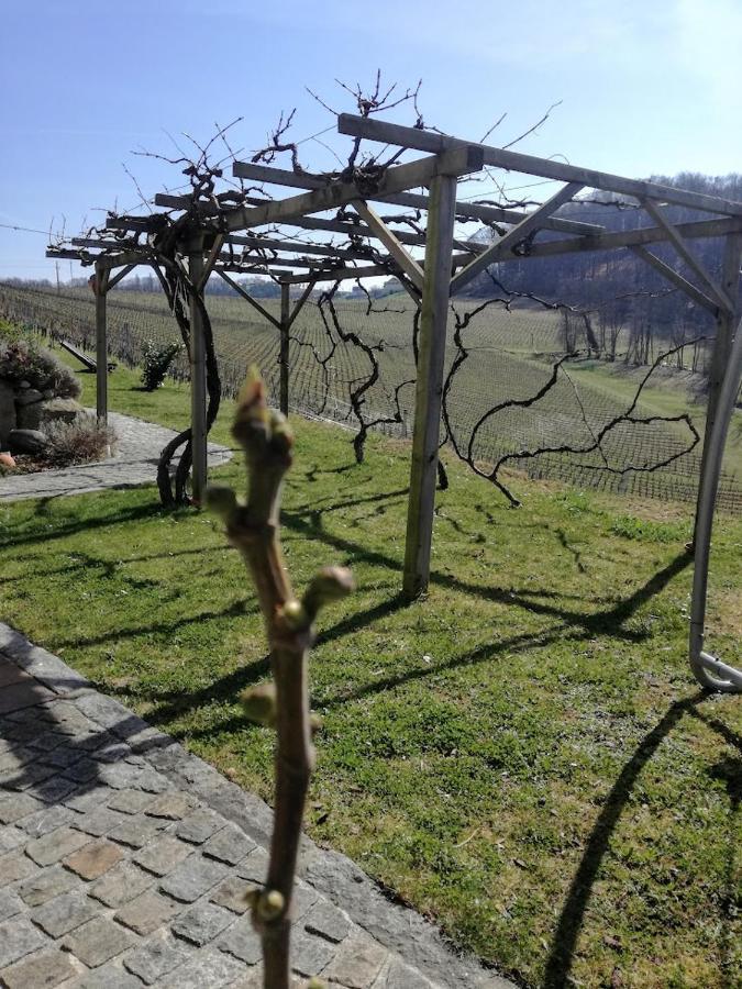 Das Weinberghaus Ratsch an der Weinstrasse Ngoại thất bức ảnh