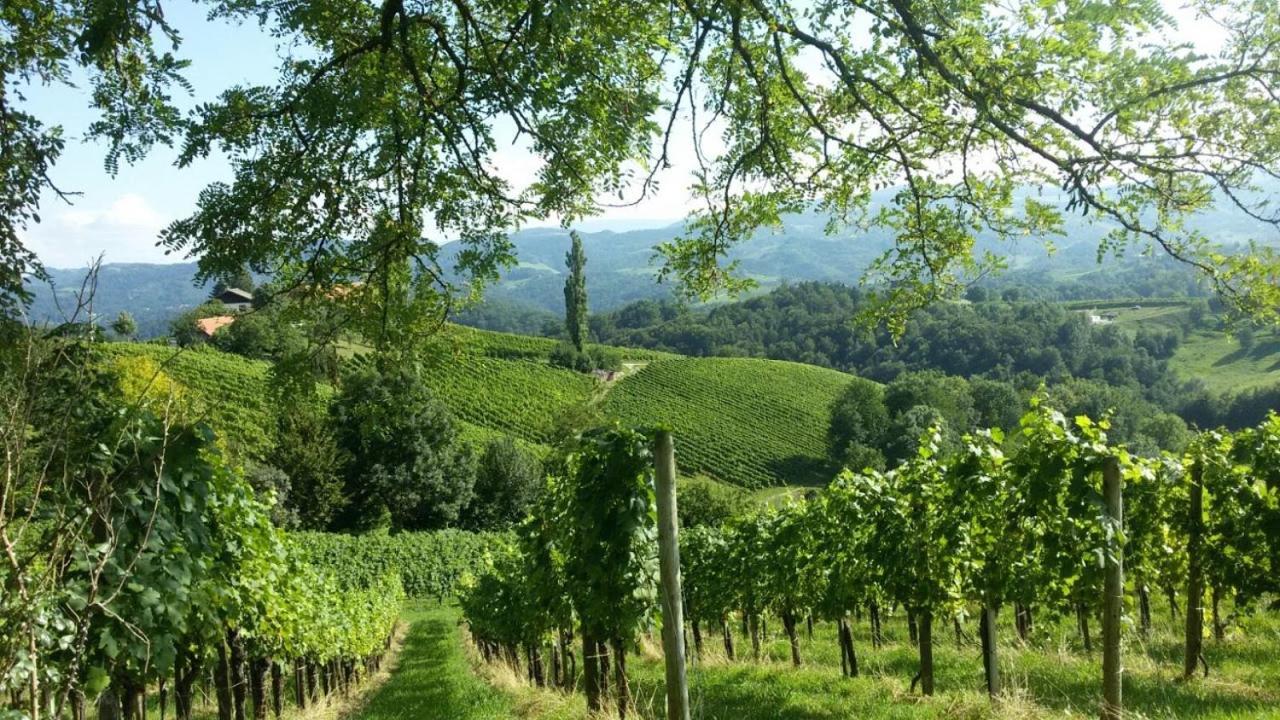 Das Weinberghaus Ratsch an der Weinstrasse Ngoại thất bức ảnh