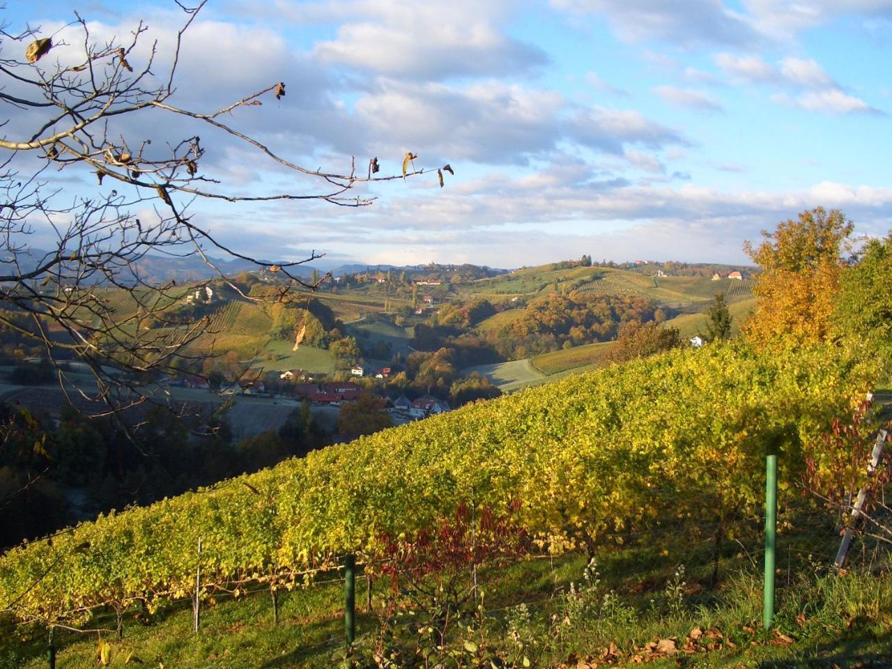Das Weinberghaus Ratsch an der Weinstrasse Ngoại thất bức ảnh